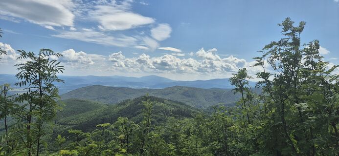 Foto de Anna Brudny a lo largo del recorrido