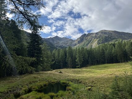 Fotografia z Bernhard Koller na trase