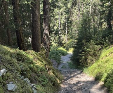Foto von “Jerry” Brunetti entlang der Tour