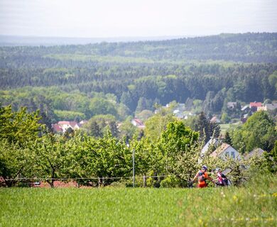 Blick auf das Westlausitzer Hügel- und Bergland