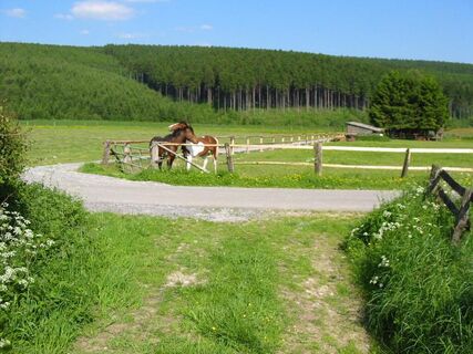 Unterwegs im Frankental bei Altenbeken