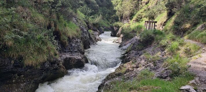 Photo de grassler le long du parcours