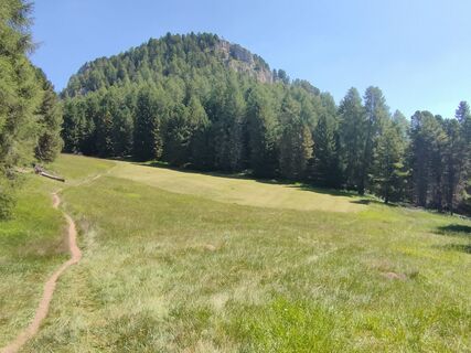 Foto van massimo tabellini langs de tour