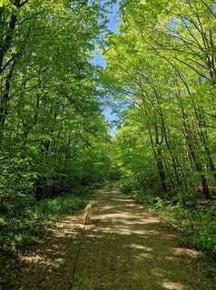 Foto von Claudia Maurer entlang der Tour