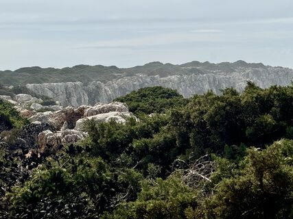 Фото с сайта Heike Hadamus во время экскурсии