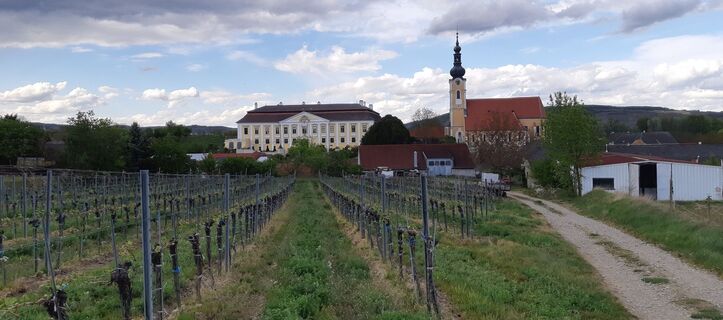Schloss und Kirche