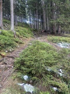 Fotó a Peter De Smedt2 honlapról a túra során