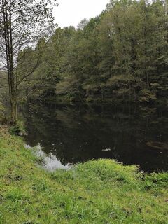 Photo de Rossel Reinhardt1 le long du parcours
