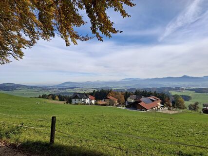 Фото с сайта Andrea Rudholzer во время экскурсии