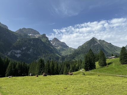 Fotografia z Zellwegerroger na trase