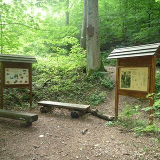 Naturlehrpfad Bad Urach