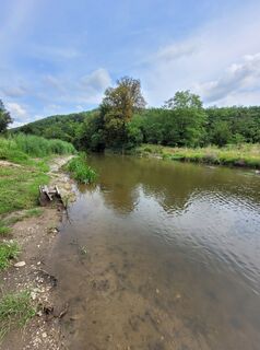 Fotografie z George50 na trase