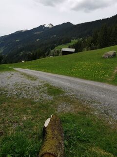 Fotografie z Waldläufer na trase