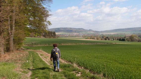 Aussicht von Hillentrup beim Hansaweg auf Etappe 4