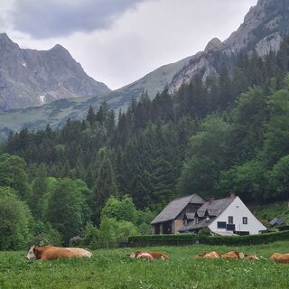 Foto von Hans Reiter 2 entlang der Tour