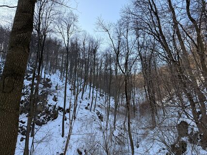 Fotografia z Levente Szádeczky na trase