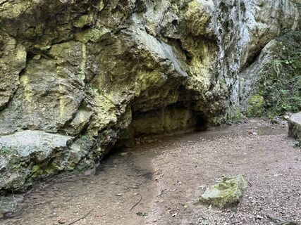 Фото с сайта Gerhard Piglmann во время экскурсии