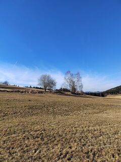 Fotografia z ReginaSt na trase