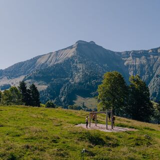 Hangelleiter mit traumhaften Blick auf den Schmittenstein!