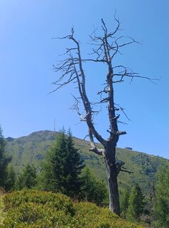 Fotografija s spletne strani Thomas Michalek 1 na poti