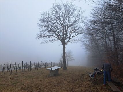 Foto de Walter Köllner a lo largo del recorrido