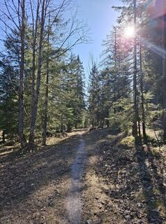 Foto von Radl entlang der Tour