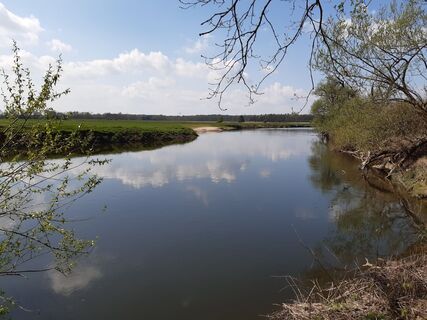 Foto von nordbergschnecke entlang der Tour