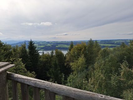 Foto von Andrea Rudholzer entlang der Tour