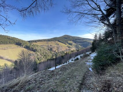 Fotografia z Gerald na trase