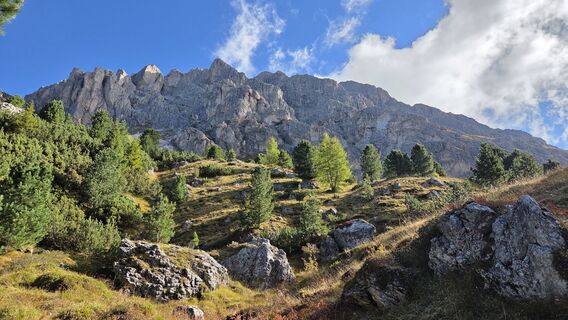 Foto da V Feurstein lungo il tour