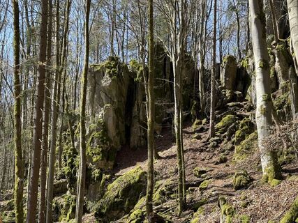 Foto de Norbert Herbig a lo largo del recorrido