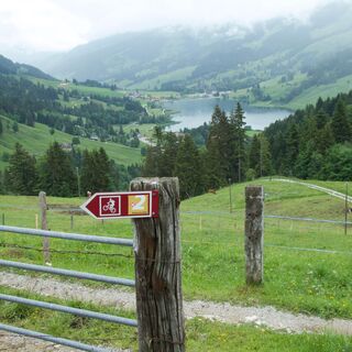 Aussicht vor La Balisaz - Panorama Bike Etappe 12