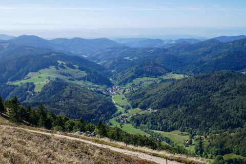 Blick vom Belchen Richtung Neuenweg
