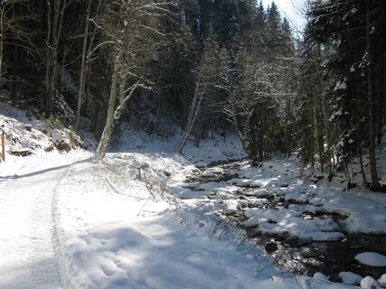 Beleuchteter Bachweg in Forstau