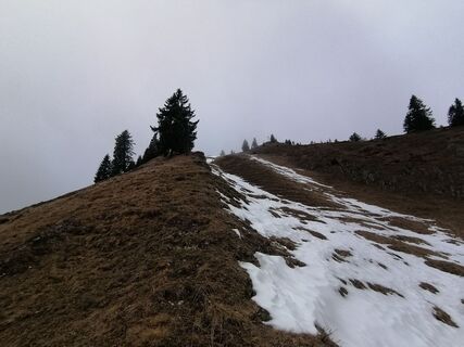Foto von Turbinio entlang der Tour