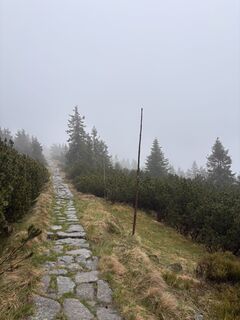 Foto de Anton Sehmisch a lo largo del recorrido