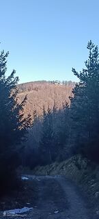 Foto von Bergpirat entlang der Tour