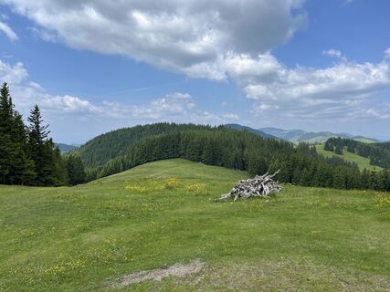 Foto von Alex Novak entlang der Tour