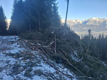 Foto fra Albert Angerer63 underveis på turen