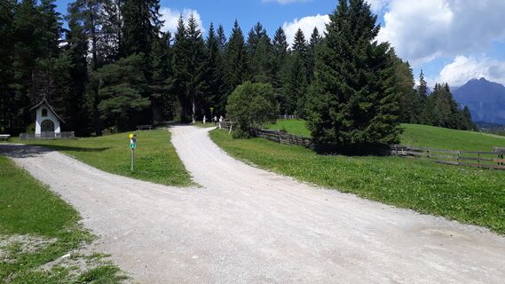 Forstweg Sonnenalm