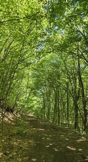 Foto de János Zsolt Mahr a lo largo del recorrido