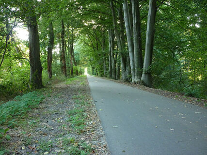 Alleenradweg ehem. Boxteler Bahn