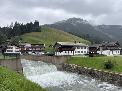 Foto von Grizzli entlang der Tour