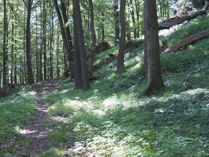 2BADE_Trail3