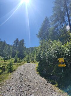 Fotografija s spletne strani Enrico Rau na poti