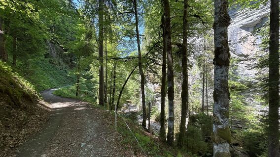 Foto von Rolf Limacher entlang der Tour