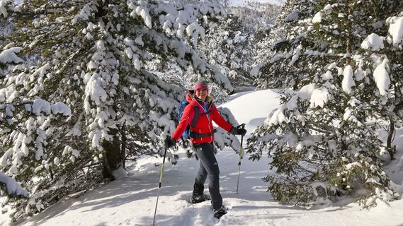 Abstieg zur Köhlerhütte