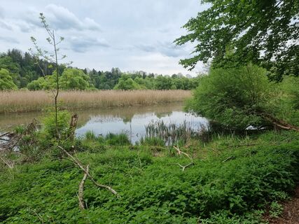 Fotografia z Felix na trase