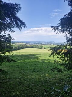 Photo de Csaba Jenei le long du parcours