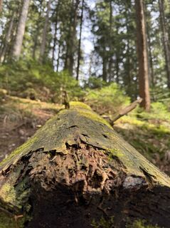 Fotografie z Denise Miller na trase